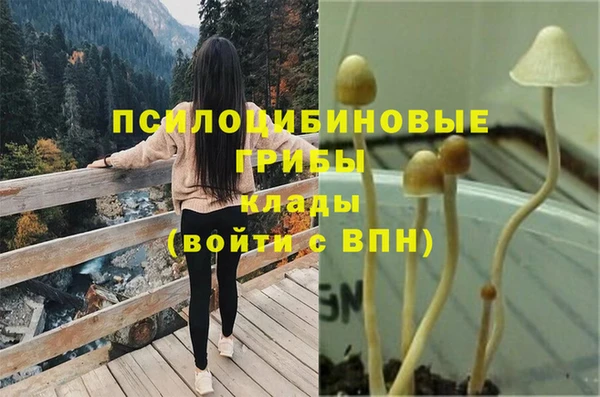прущая мука Новосибирск
