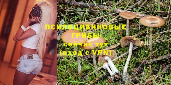 амф Ессентукская