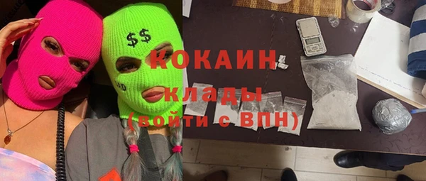 прущие грибы Калининец