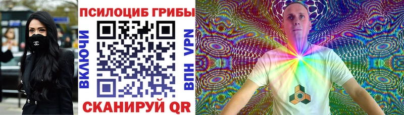 Псилоцибиновые грибы мицелий  закладки  Белебей 