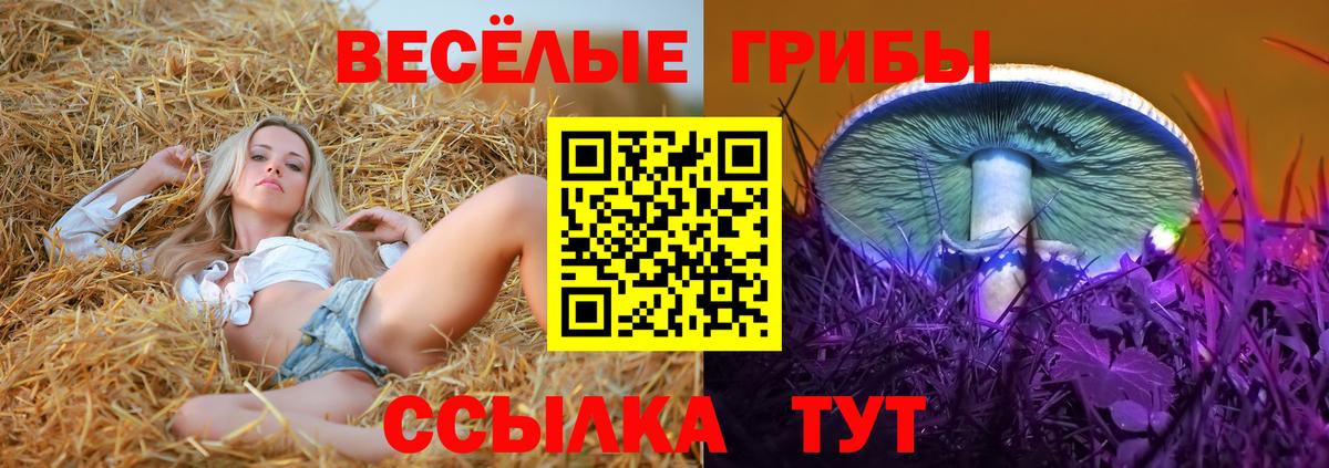 Галлюциногенные грибы Psilocybine cubensis Белебей
