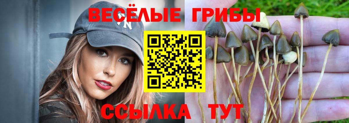 Галлюциногенные грибы мухоморы Белебей